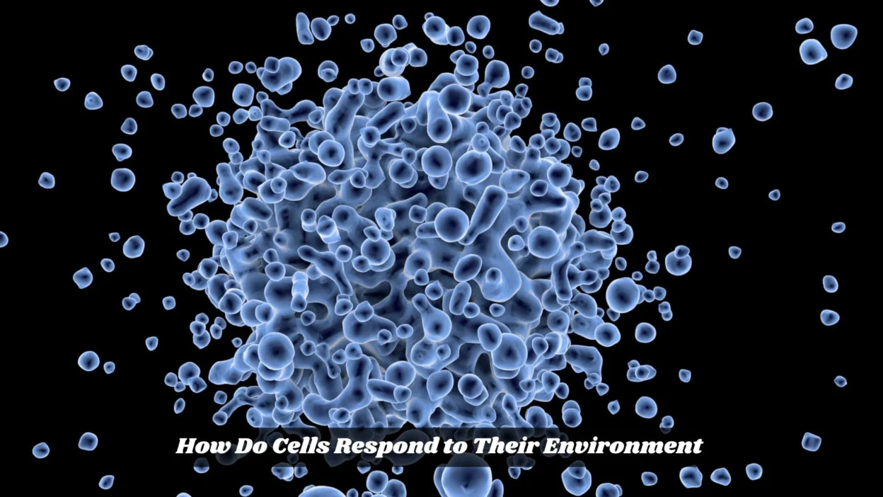 How Do Cells Respond to Their Environment