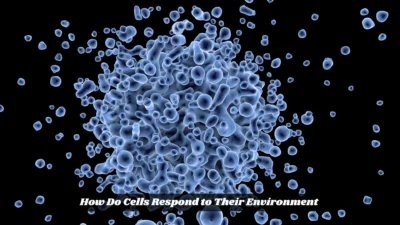 How Do Cells Respond to Their Environment