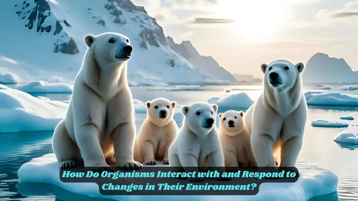 How Do Organisms Interact with and Respond to Changes in Their Environment?