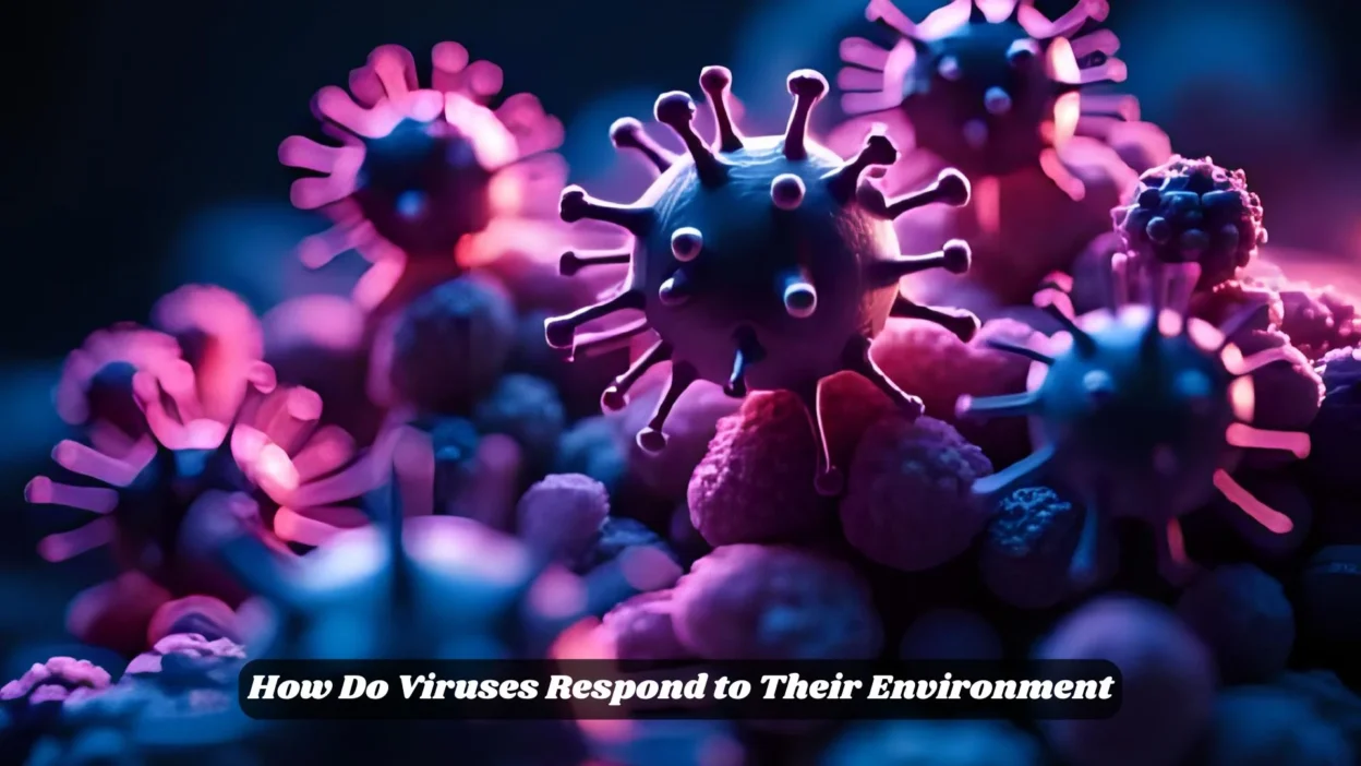 How Do Viruses Respond to Their Environment